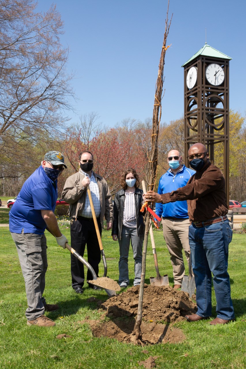 Shade takes root | News, Sports, Jobs - Observer Today - Vimarsana News